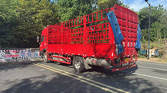 灵璧县张青松道路货物运输经营部