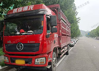 合肥胜维物流有限公司