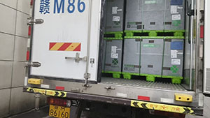 2月27日诸暨至上海市汇众萨克斯