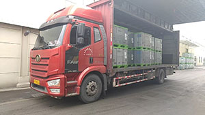 4月17日诸暨至上海市申旺路上海汇众···