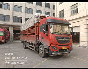 孙佳佳个人6.8高栏车辆